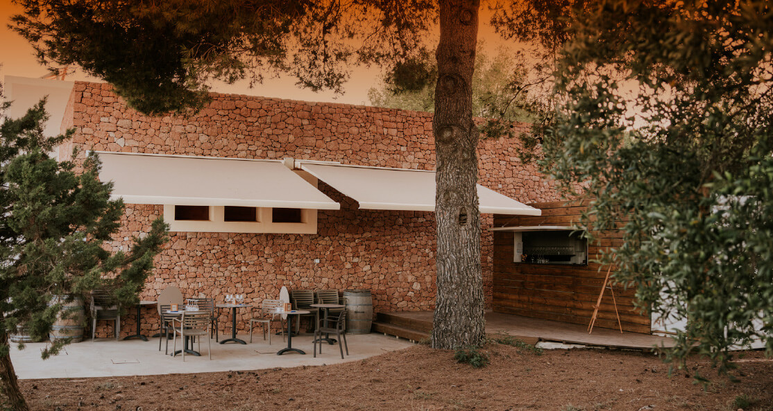 Bodega Terramoll