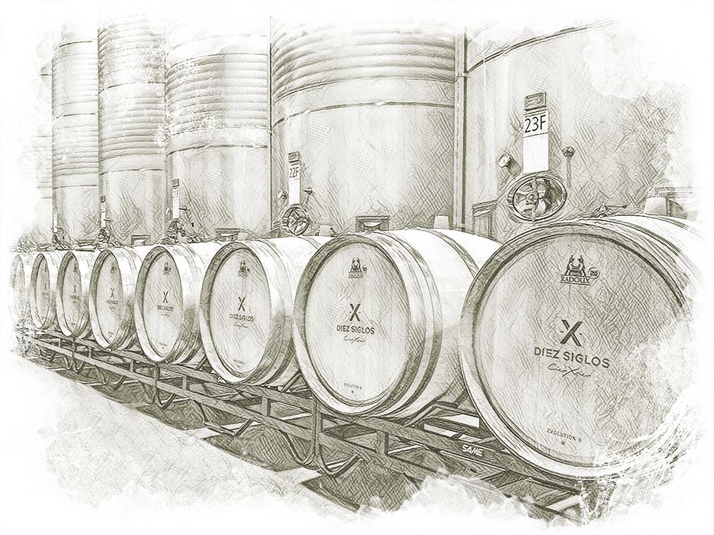 Diez Siglos de Verdejo