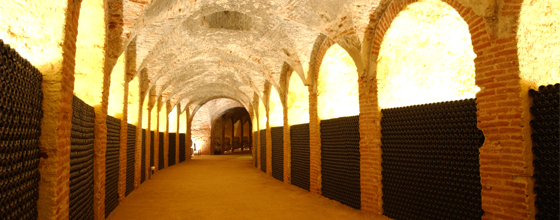 Bodegas Real Cortijo