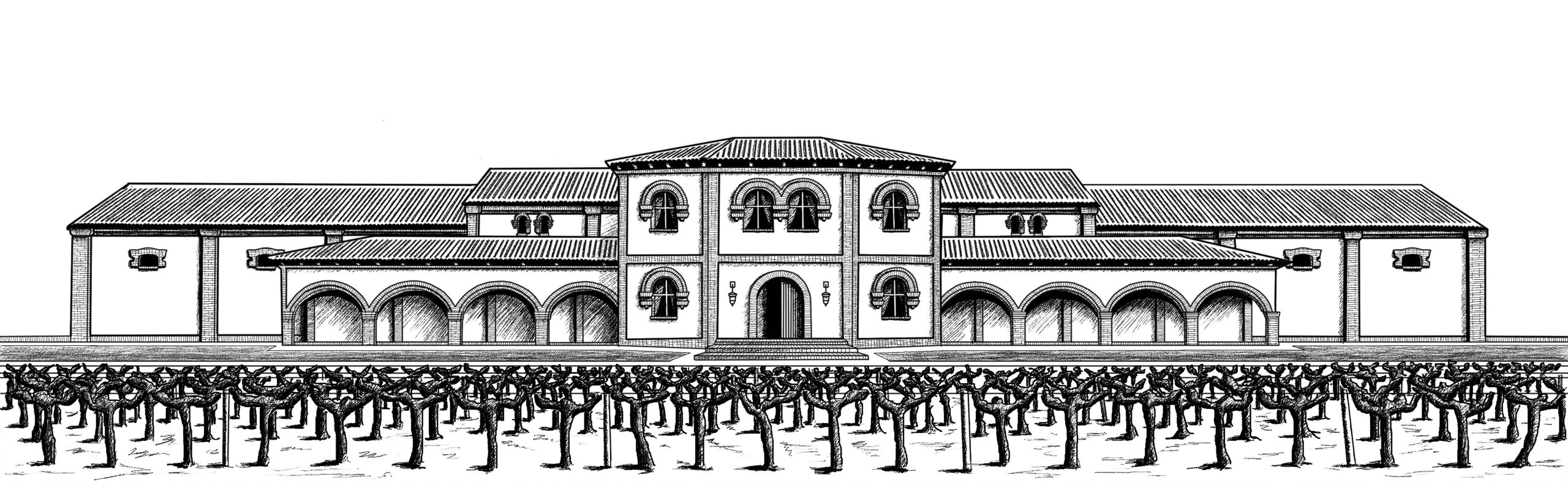 Bodegas y Viñedos Vega Real, S.L.