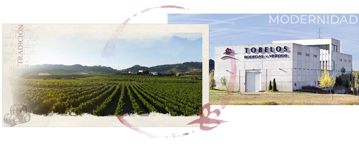 Tobelos Bodega y Viñedos S.L