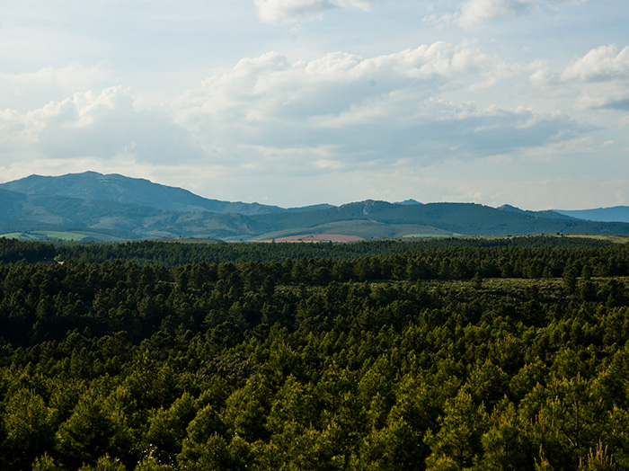 Finca Rio Negro
