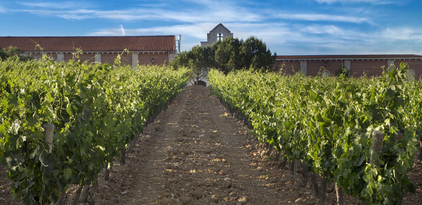 Bodegas Carramimbre, S.A.