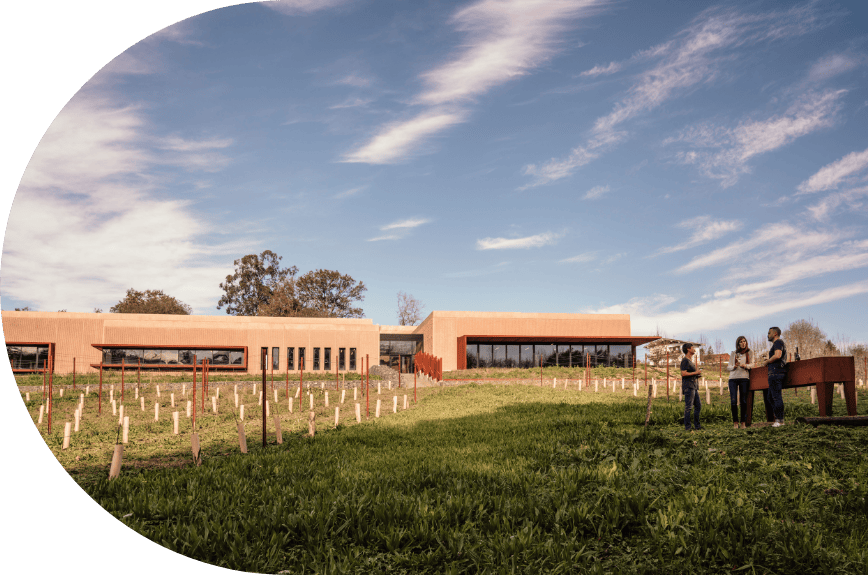 Bodegas Itsasmendi