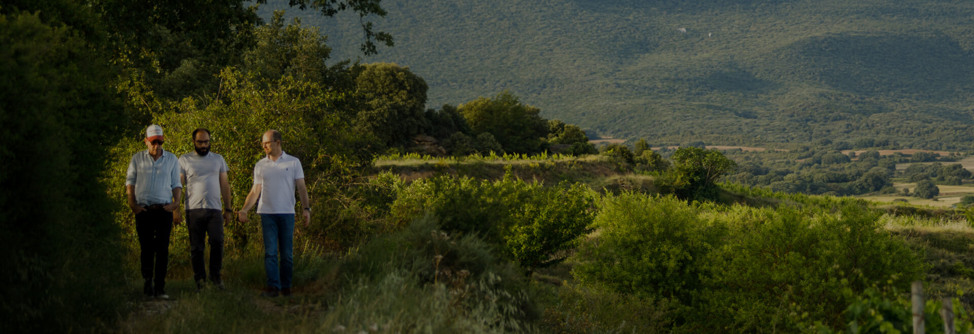 Bodega Bideona