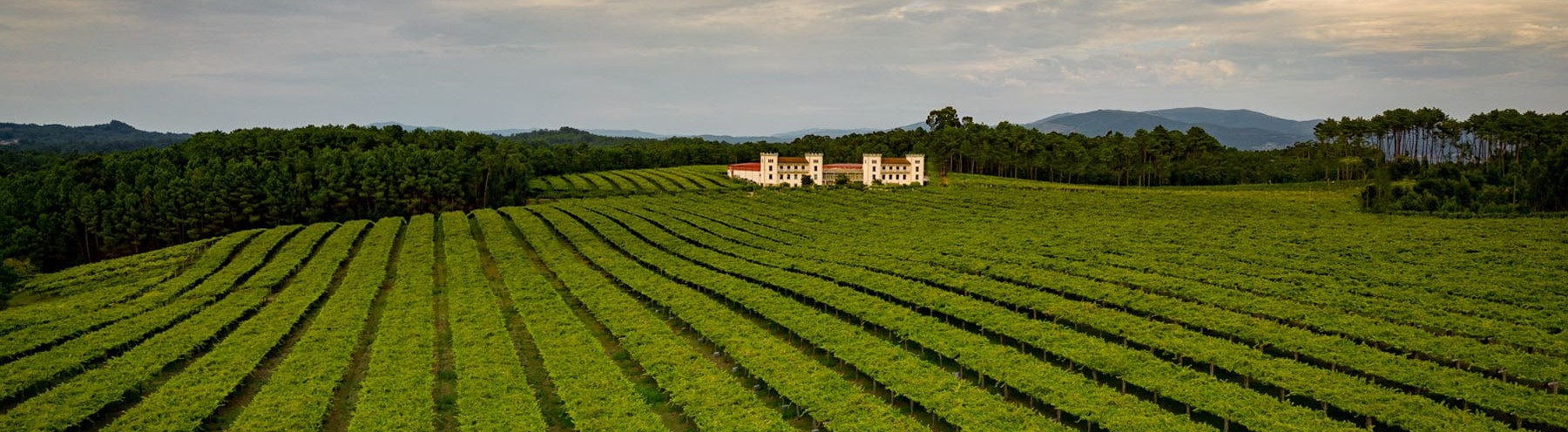Bodegas La Val