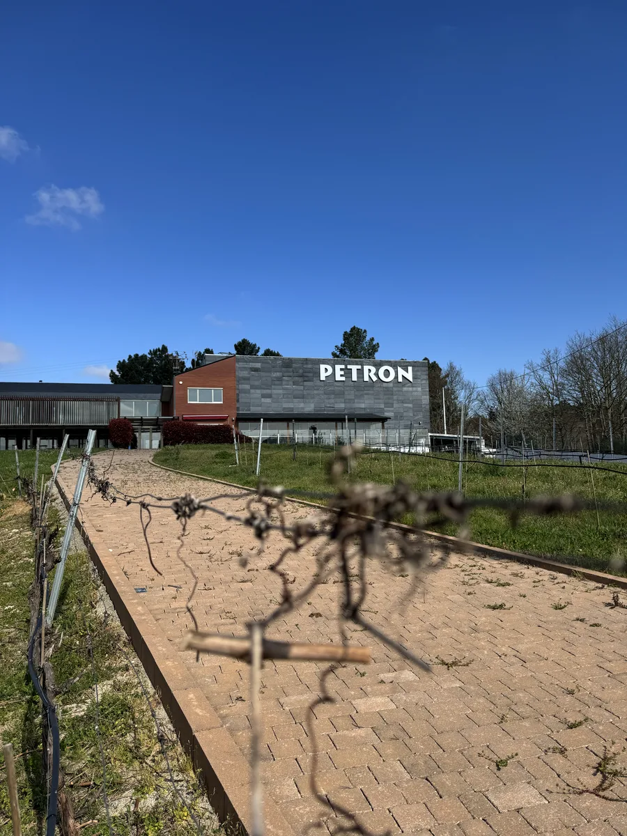 Bodega Petrón