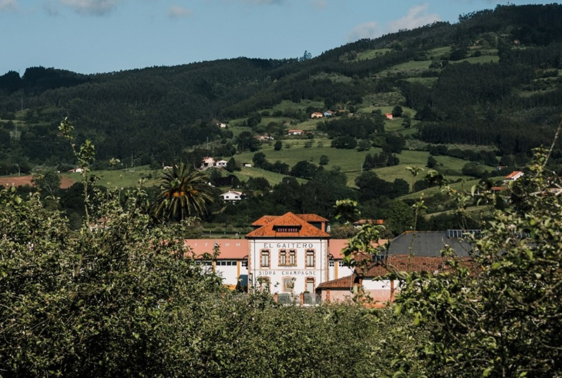 Bodega Sidra del Sur