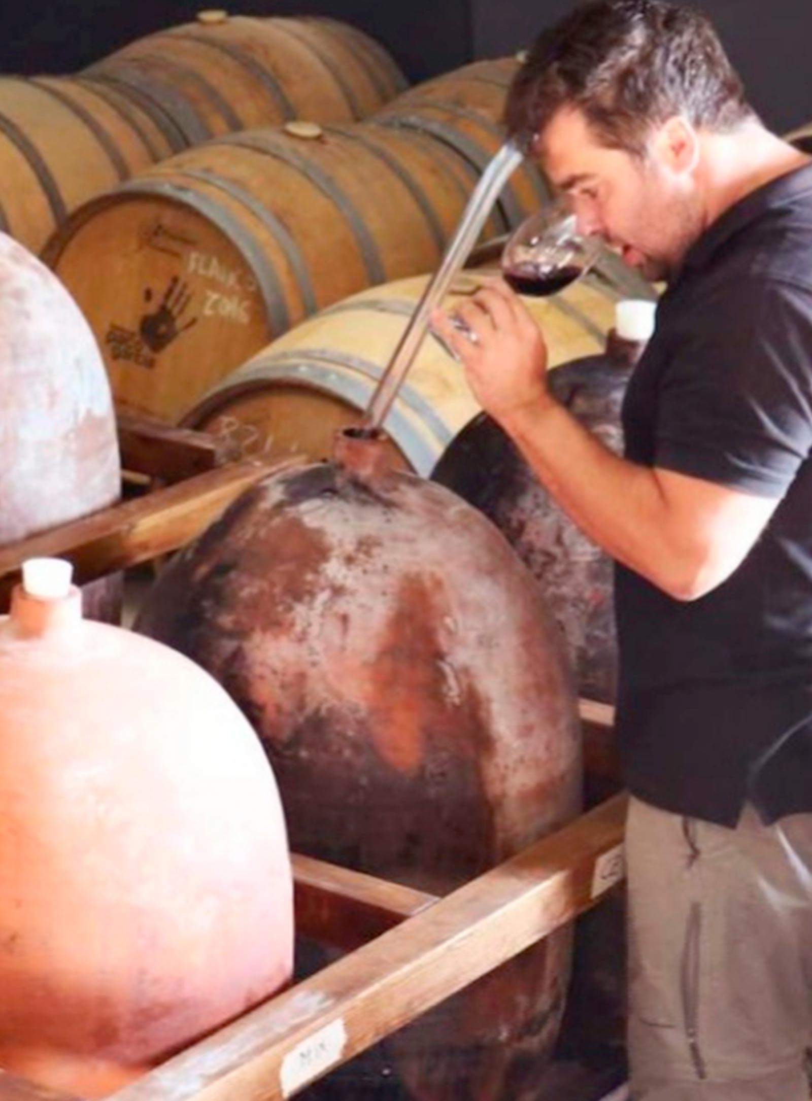 Bodegas Paco Garcia