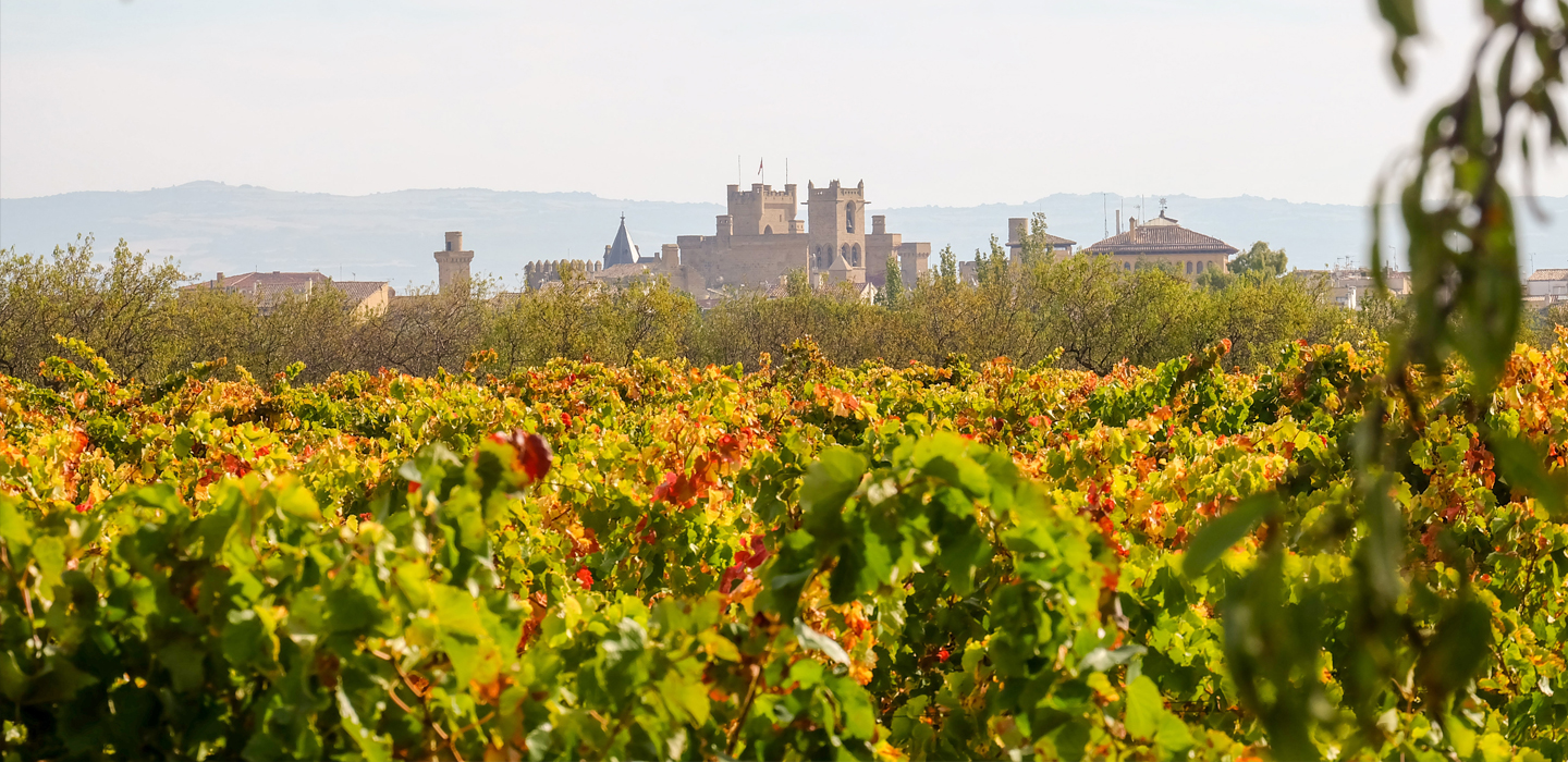Bodegas Vega del Castillo