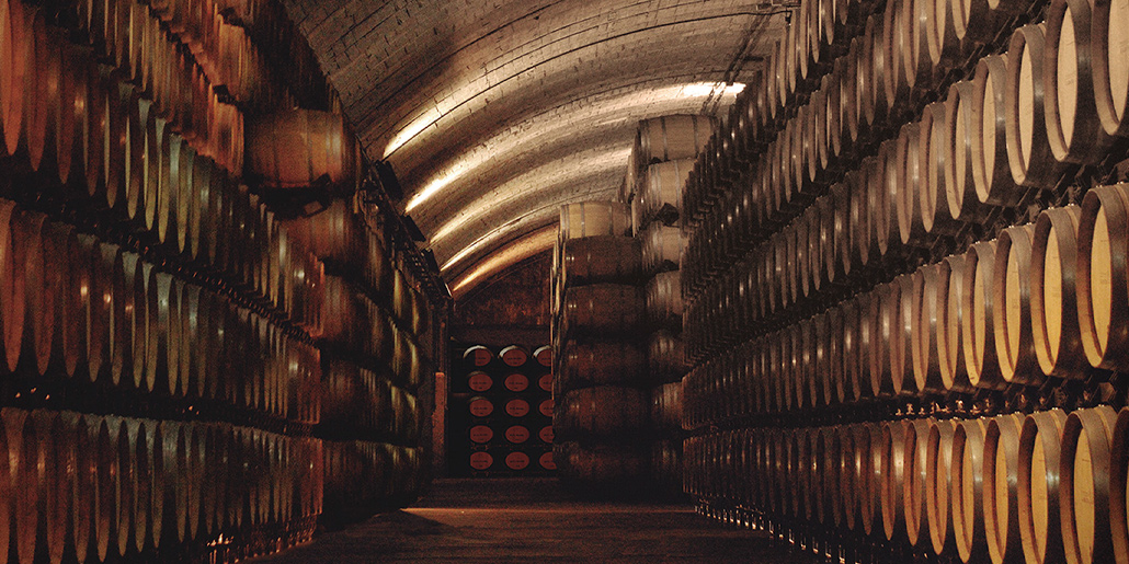 Bodega Los Llanos