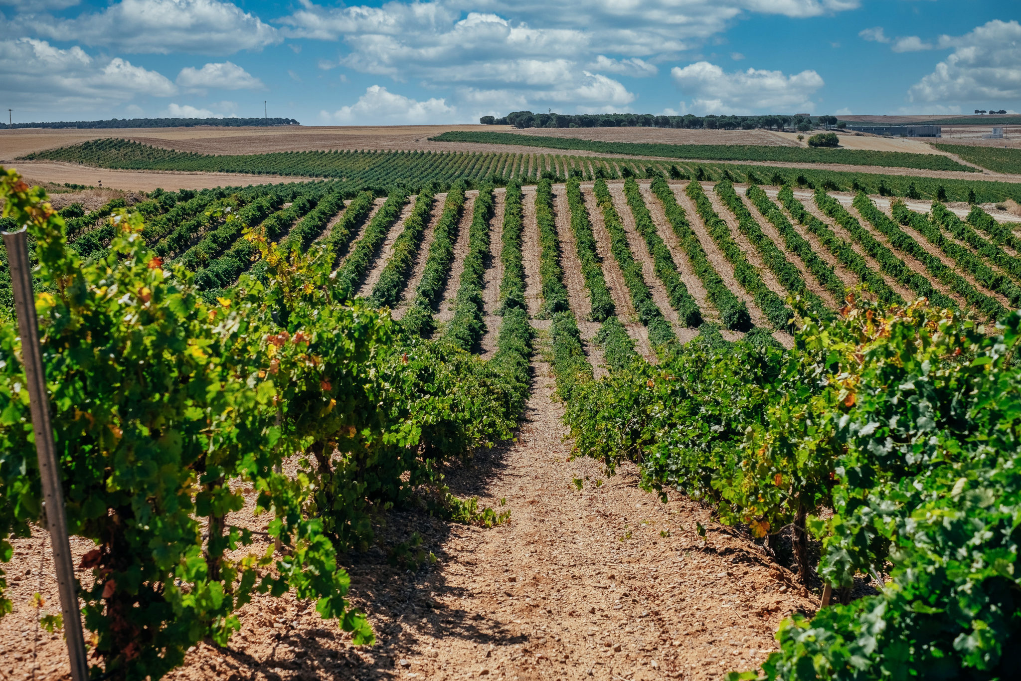 Bodega Pago Traslagares
