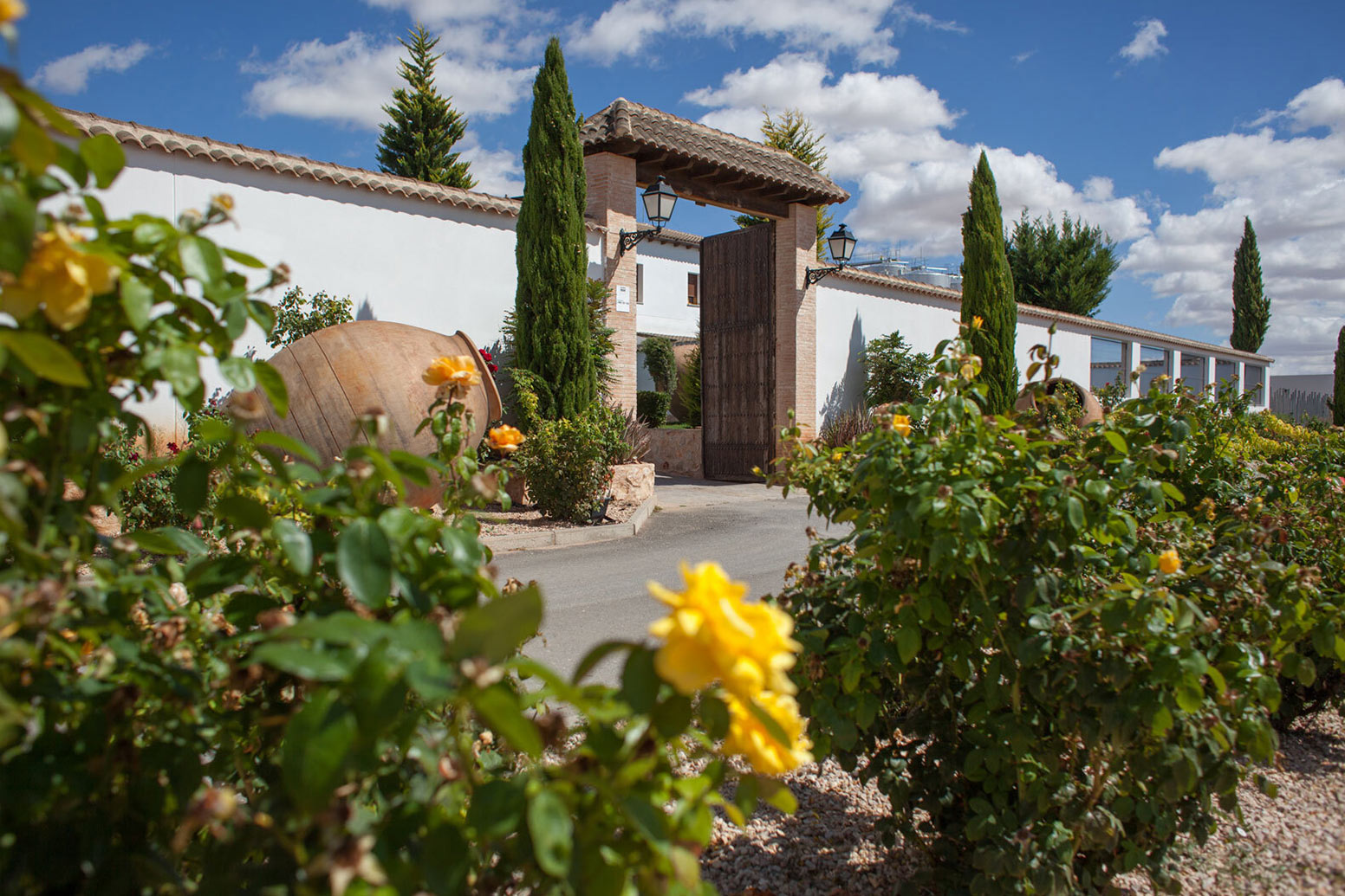 J. Fernando Viñedos y Bodegas, S.L.
