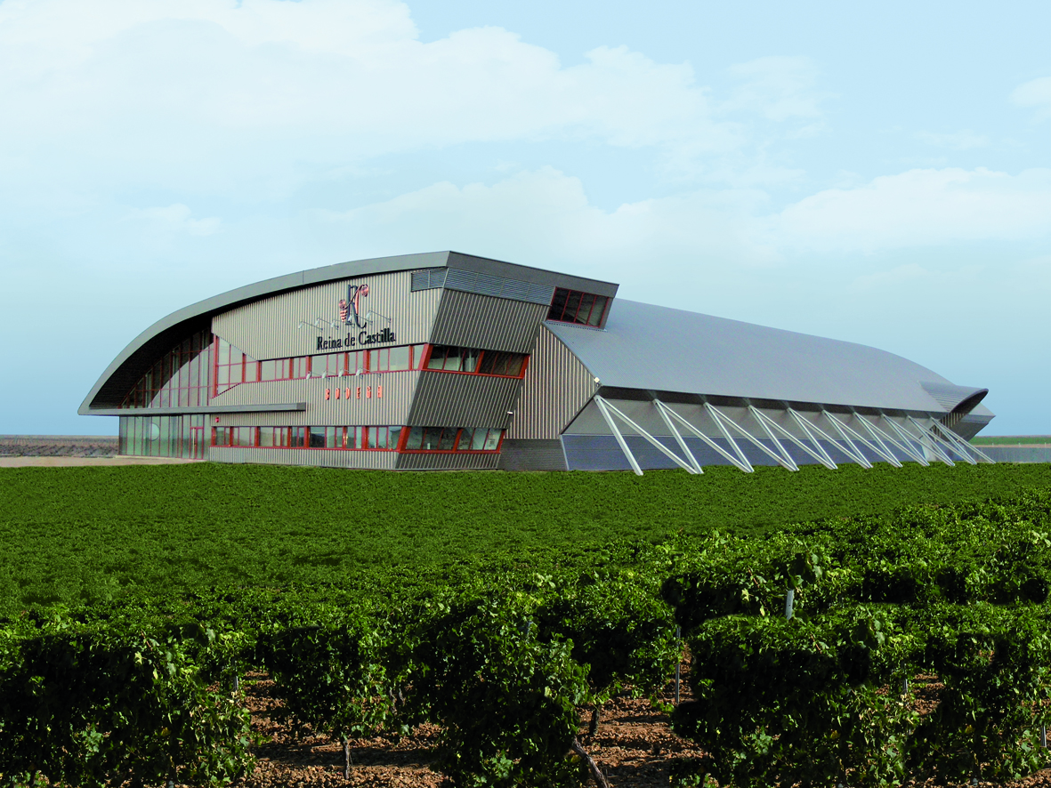 Bodega Reina de Castilla, Sdad. Coop.