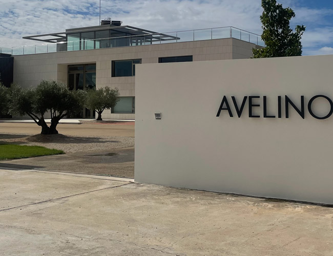 Avelino Vegas
