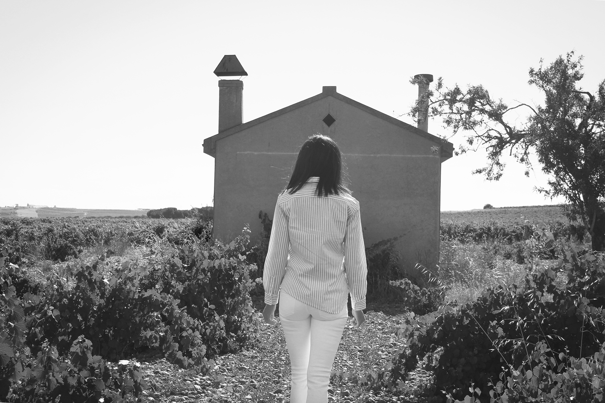 Bodegas Mónica