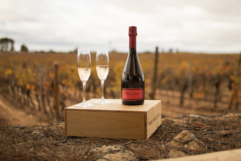Bodegas Hispanosuizas S.L.
