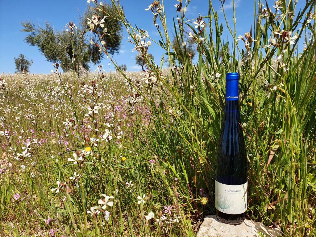 Bodegas Oran, SL