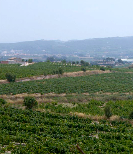 Mont Marçal