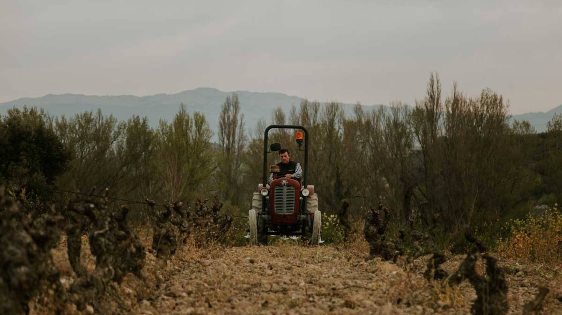 Bodegas Gomez de Segura