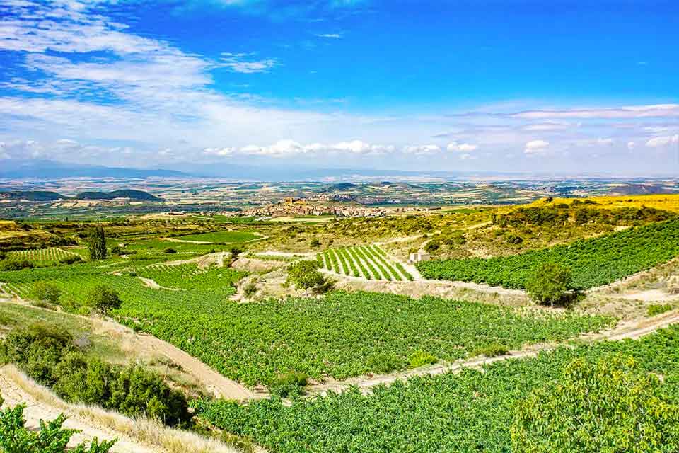 Bodegas Cornelio Dinastía, S.L.