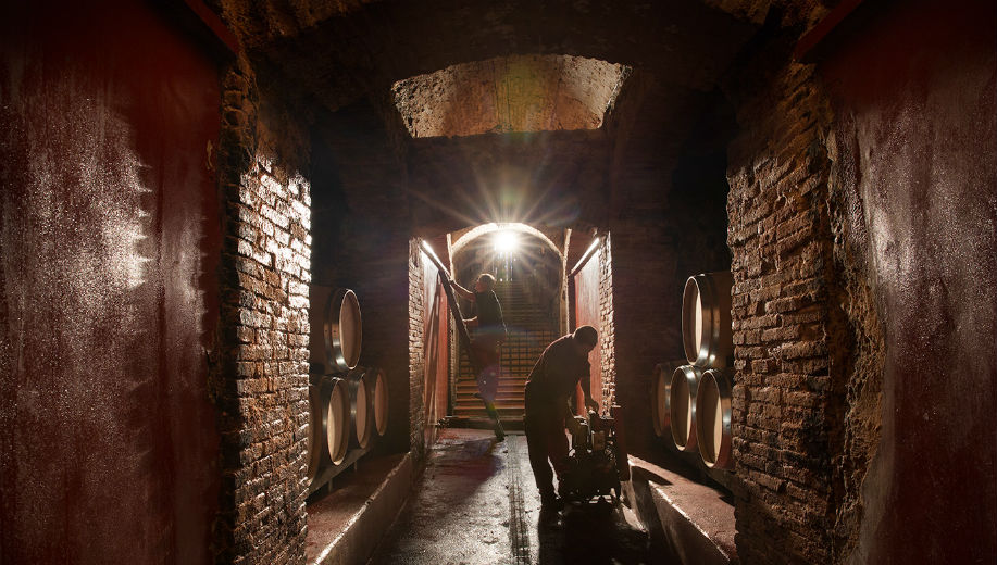 Bodegas y Viñedos Ortega Ezquerro