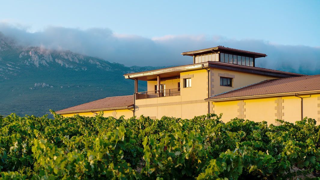 Bodegas y Viñedos Pujanza