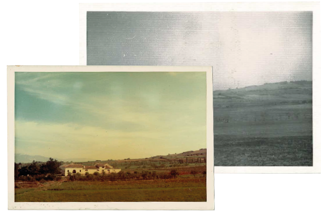 Bodegas y Viñedos Larraz SL