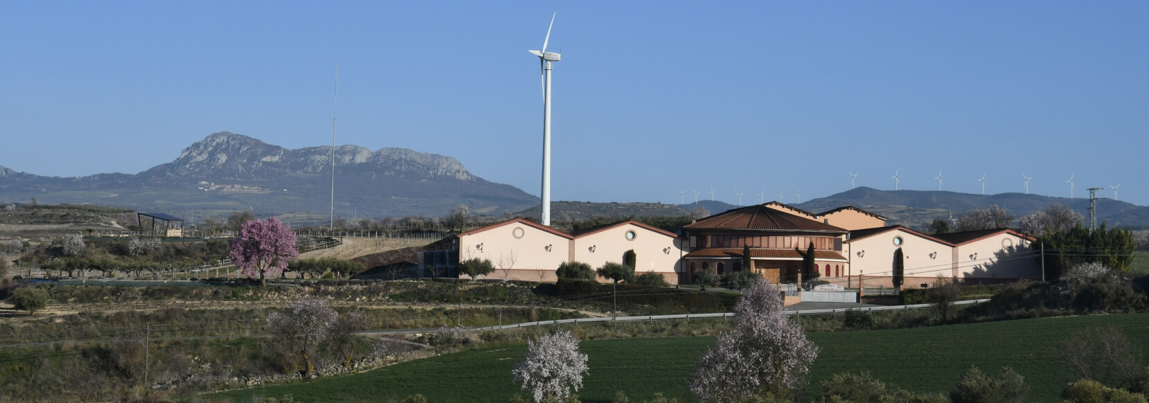 Bodegas Fernández de Piérola