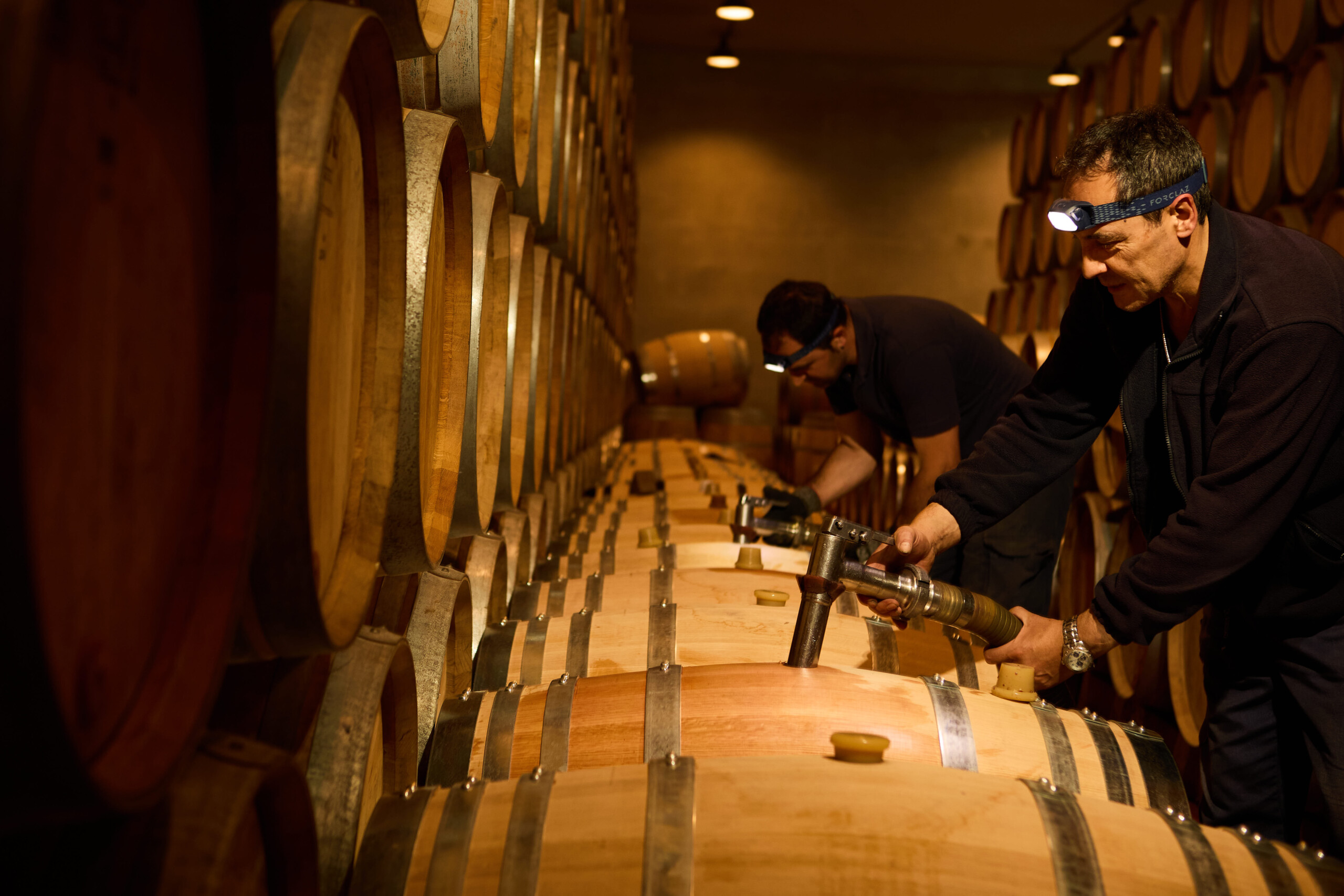 Viñedos del Contino