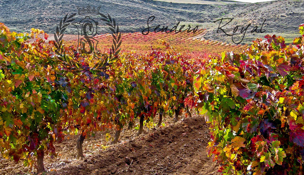 Bodegas Sendero Royal