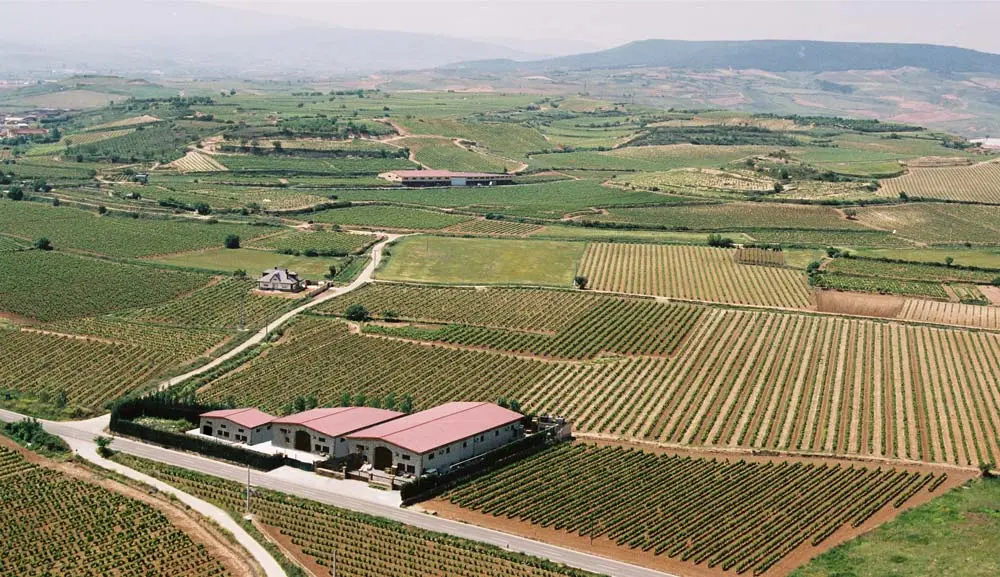 Bodegas y Viñedos Heras Cordon
