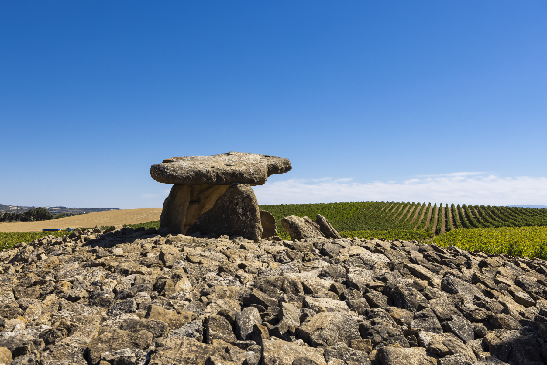Bodegas Viña Laguardia