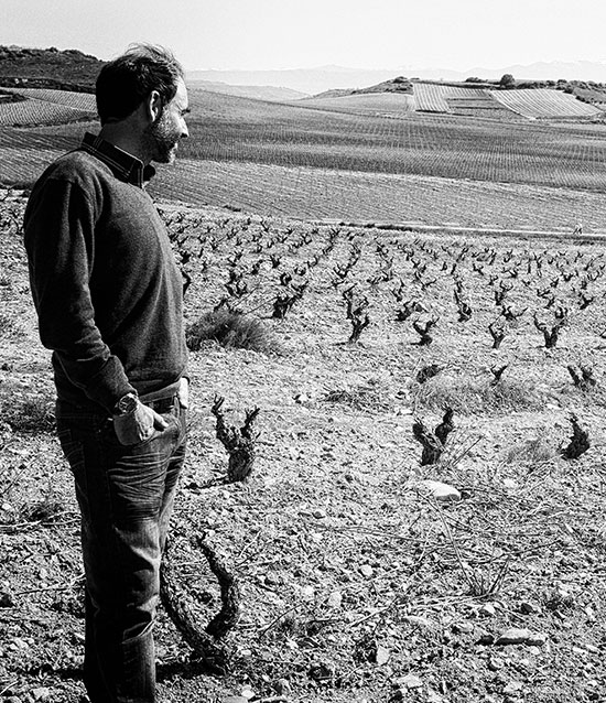 Bodegas Mazuela