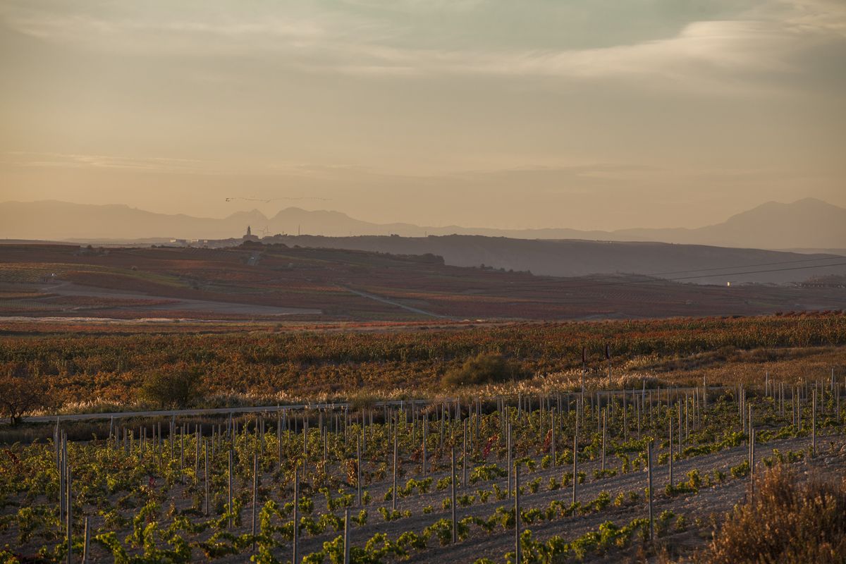 Bodegas Bagordi