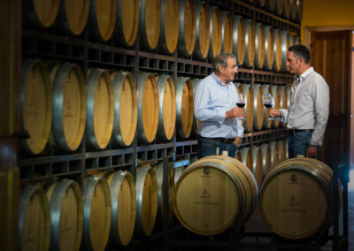 Bodegas Viña Berneda