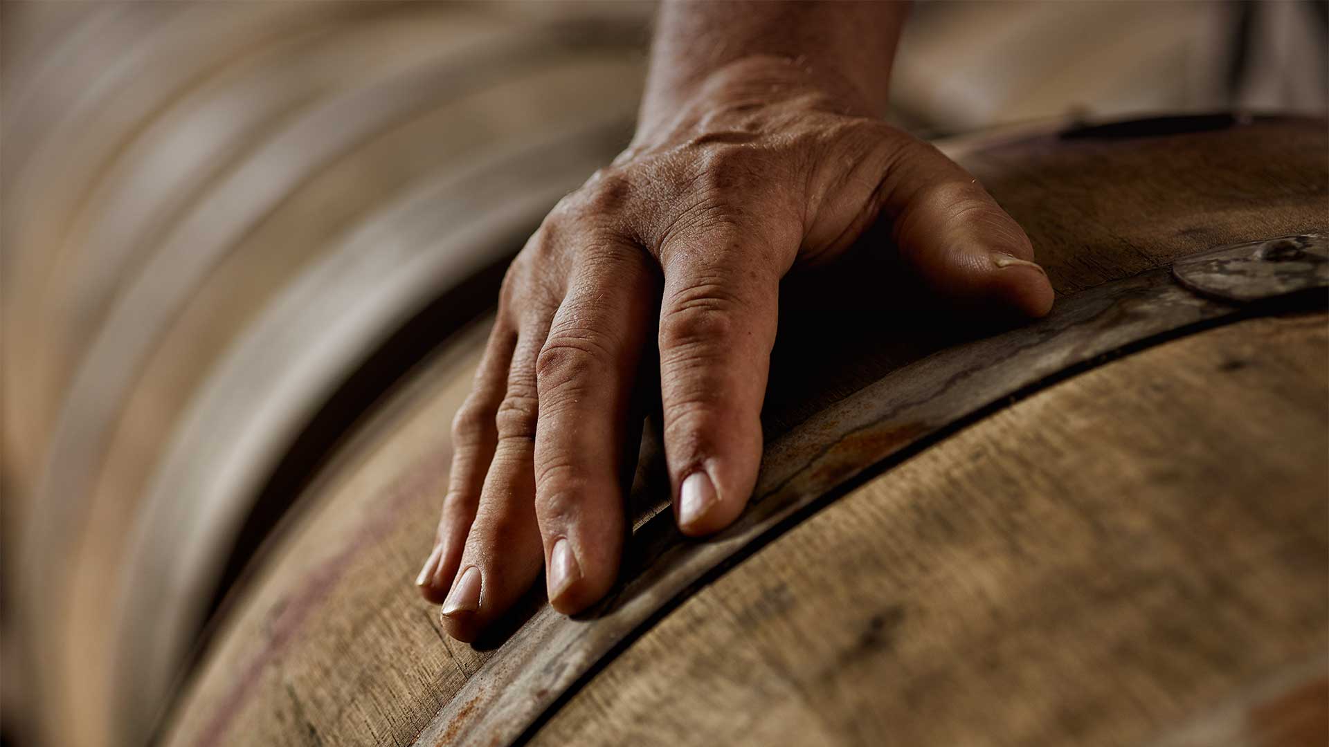 Bodegas Covila