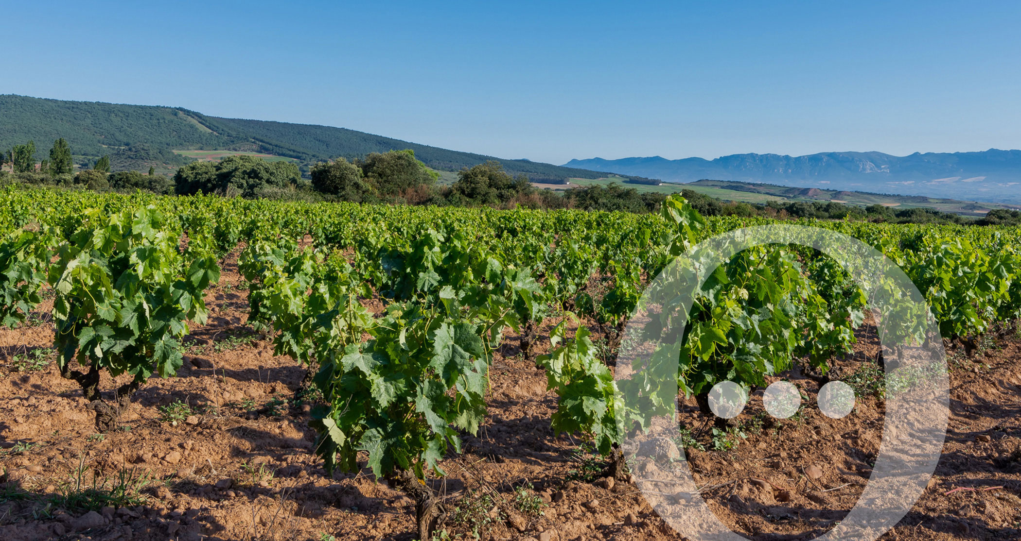 Bodegas Cerrolaza