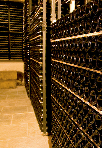 Bodegas Concejo de Ollauri, S.L.U.