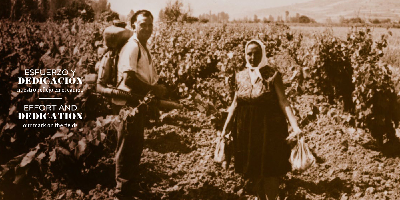 Corres García, Francisco
