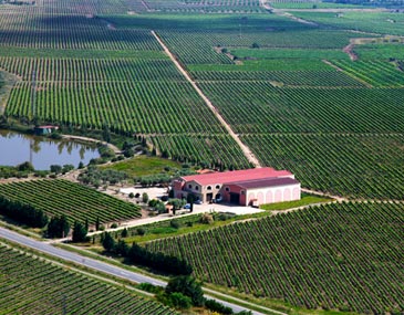 Bodegas Torremaciel, S.L.