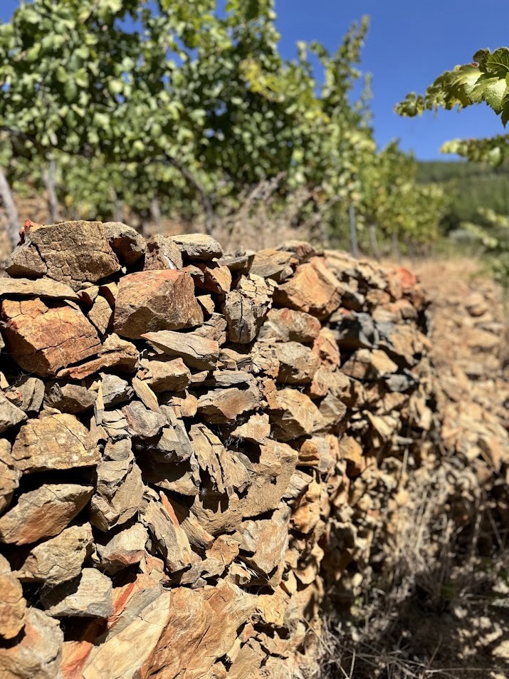 Bodegas Bhilar, S.L.