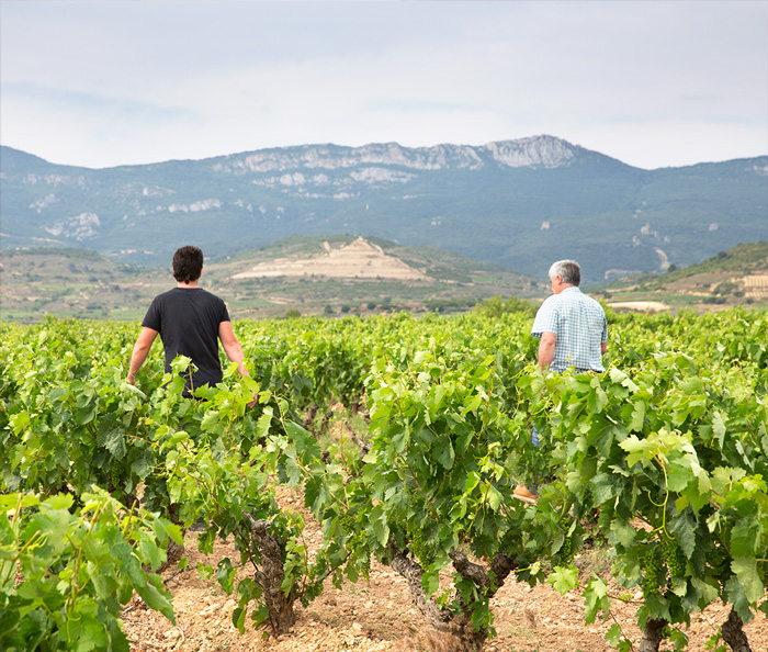Bodegas y Viñedos Eguíluz