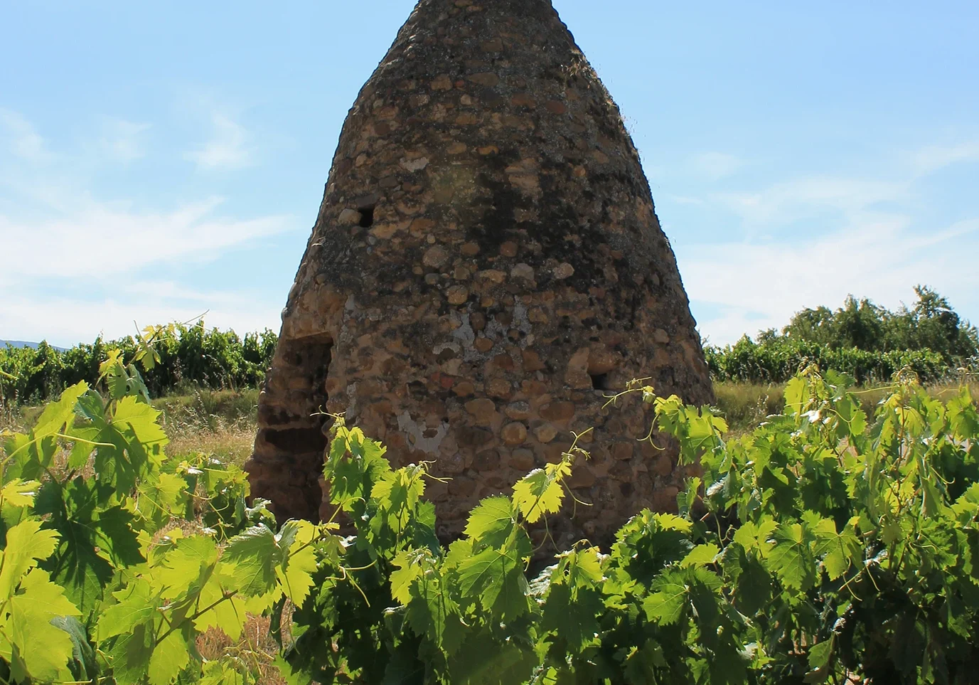 Bodegas Pastor
