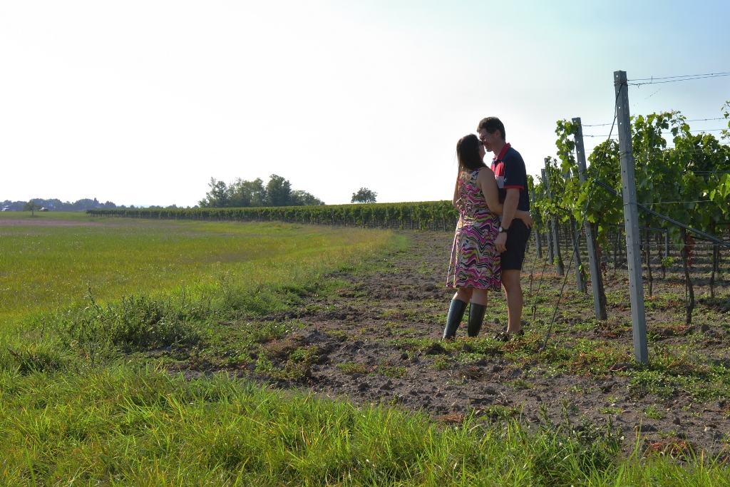 Preiner Wein GmbH