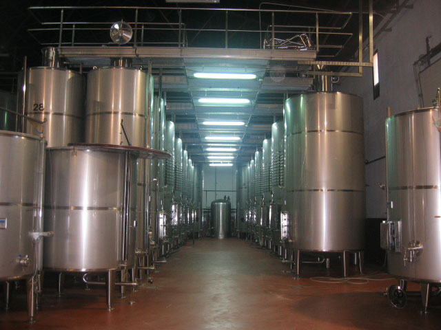 Ciego del Rey S.L.