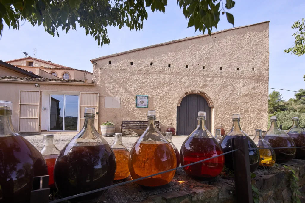 Bodegas Maset Rioja