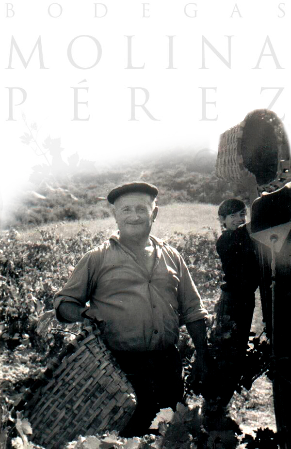 Molina Perez, S.C.