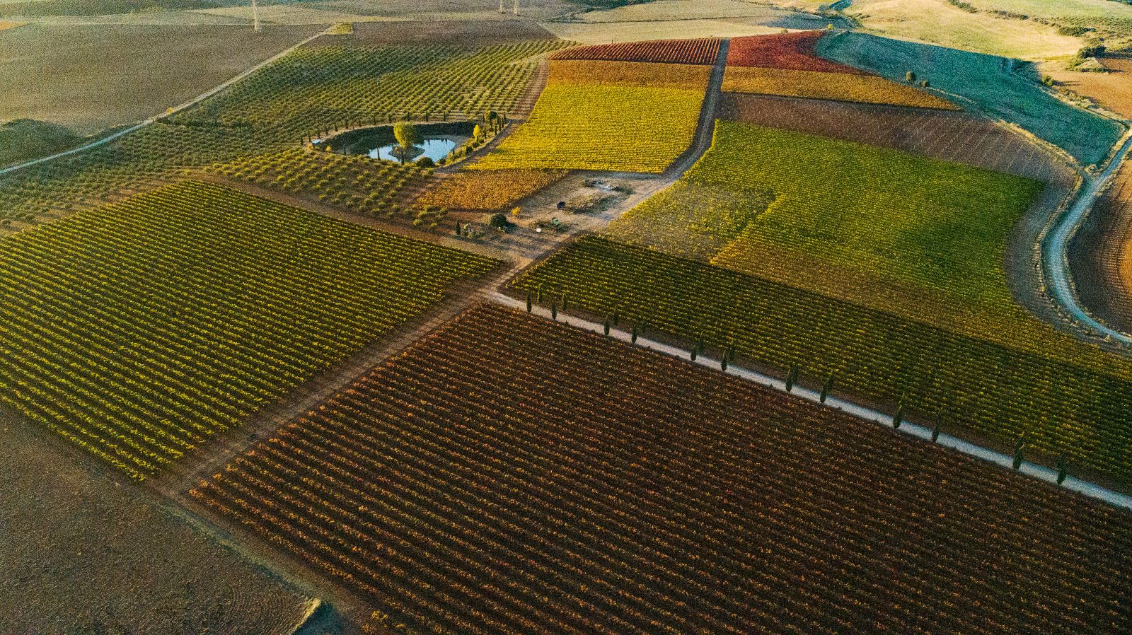 Hacienda Grimón, S.L.