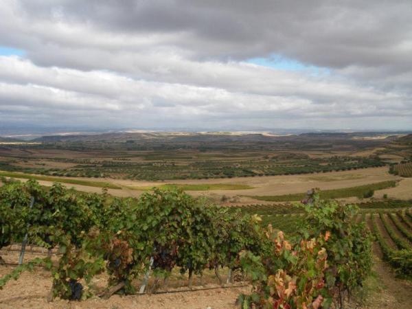Dehesa de Zeladas, CB, Bodegas